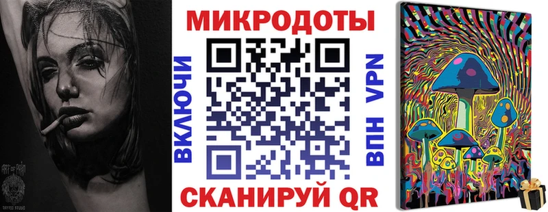 продажа наркотиков  Каменногорск  Псилоцибиновые грибы MAGIC MUSHROOMS 