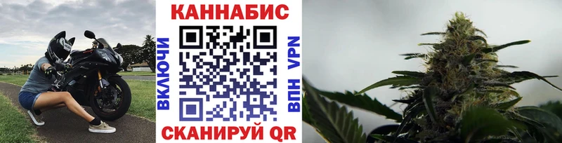 даркнет Telegram  Каменногорск  Марихуана LSD WEED 